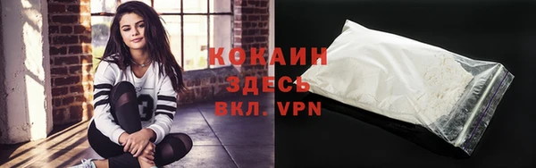 spice Абаза