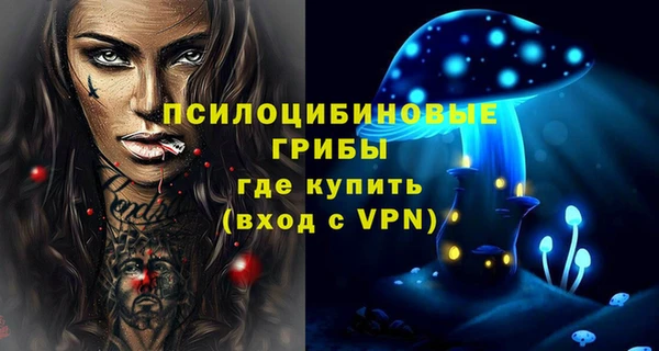 твердый Алзамай